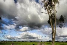 易游体育:DO:不确定利物浦是否在追求赫伊森,他们可能需要先出售中卫.